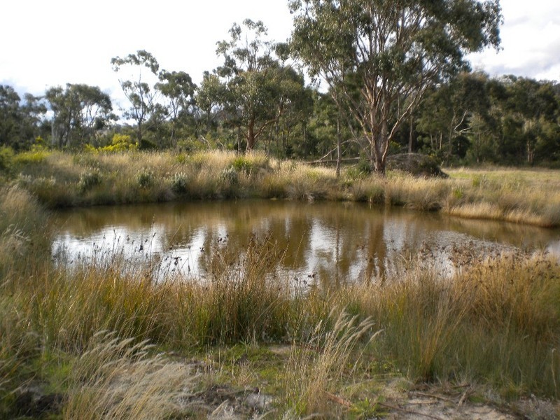 Triabunna TAS 7190
