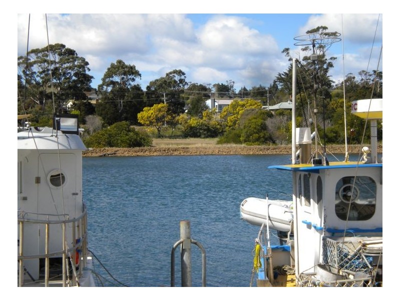 2 Selwyn  Street, Triabunna TAS 7190