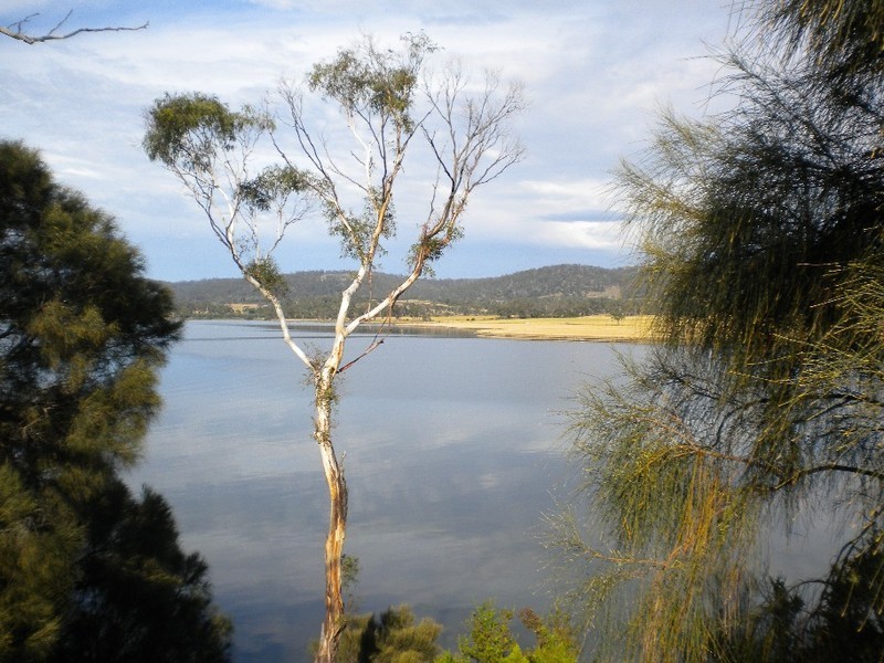 31 East Esplanade, Triabunna TAS 7190