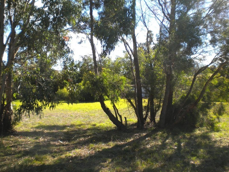 16 Lord Street, Triabunna TAS 7190