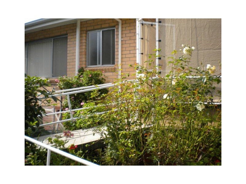 43 Tasman Highway, Orford TAS 7190