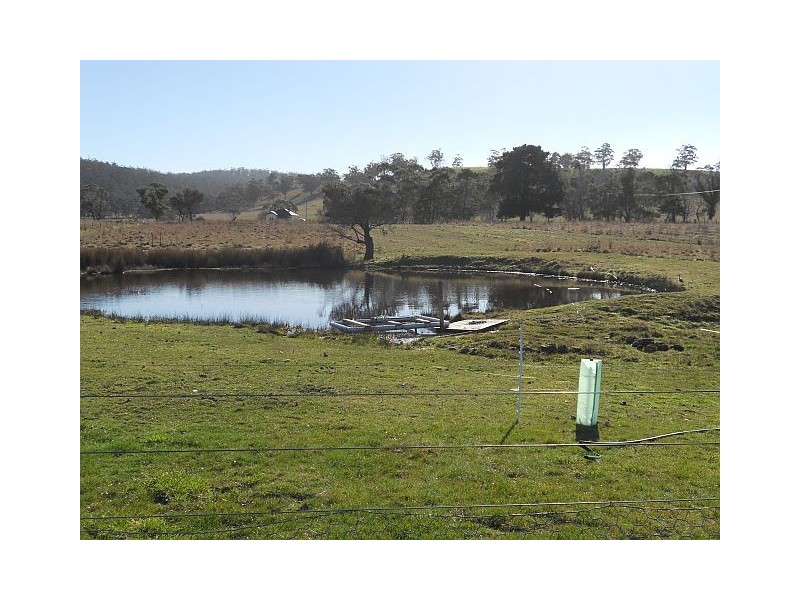 1 Louisa Street, Triabunna TAS 7190