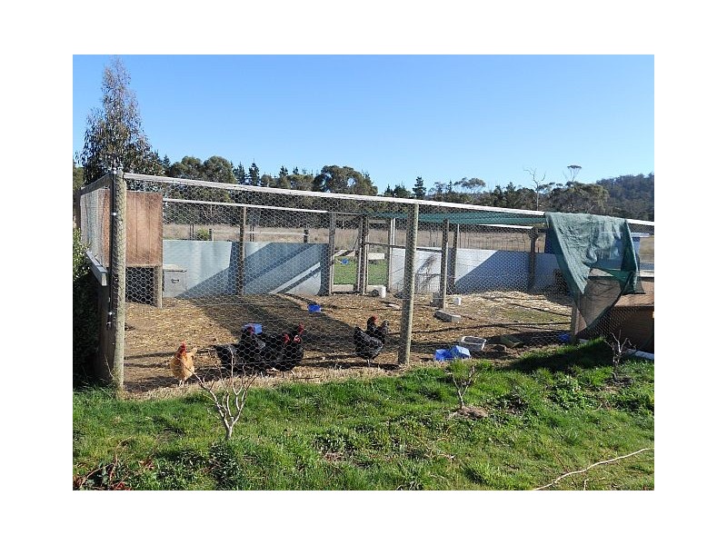 1 Louisa Street, Triabunna TAS 7190