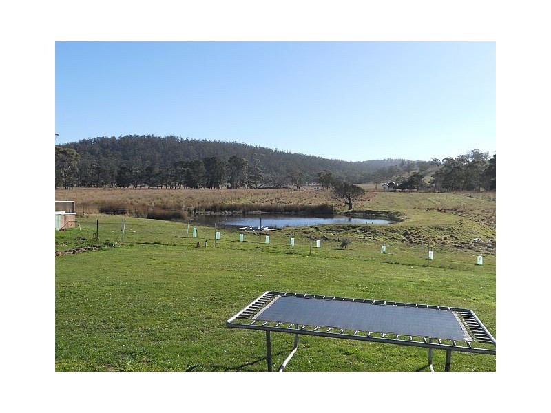 1 Louisa Street, Triabunna TAS 7190