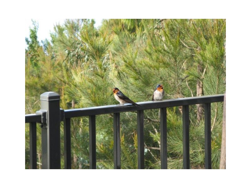 7 Van Leeuwen Crescent, Spring Beach TAS 7190
