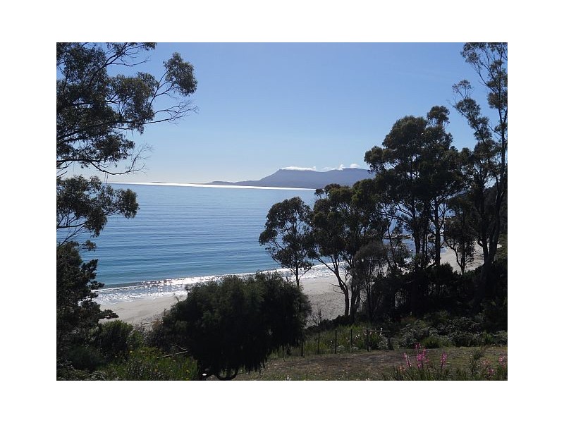459 Rheban Road, Spring Beach TAS 7190