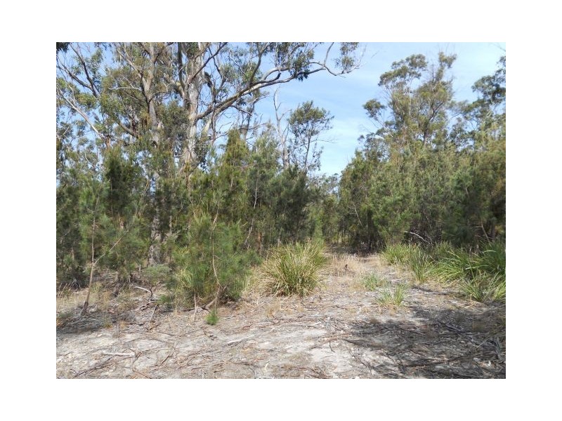 Lots 401, 402 Bernacchi Drive, Orford TAS 7190