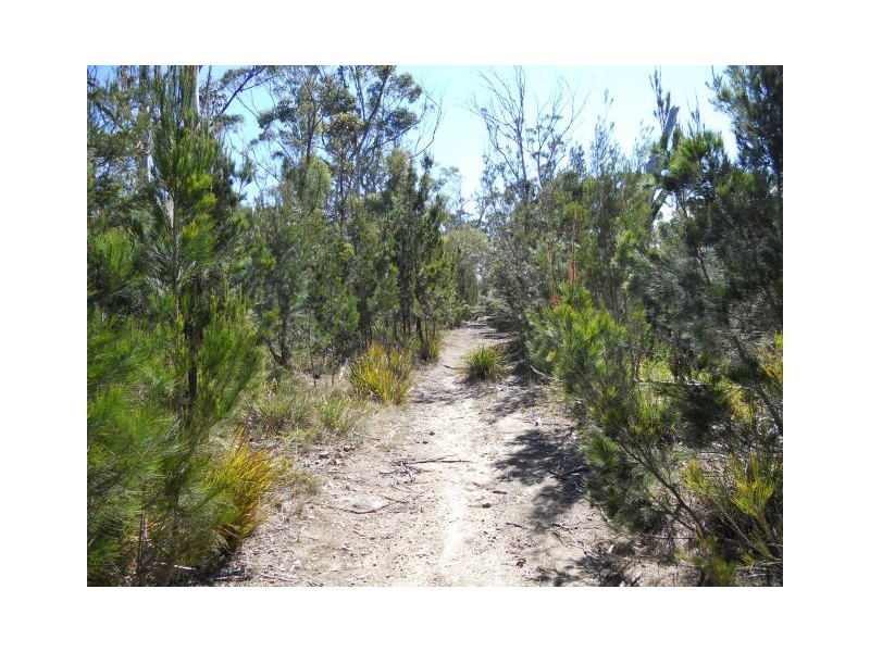 Lots 401, 402 Bernacchi Drive, Orford TAS 7190