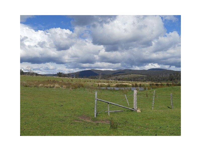 Lot 7 Strip Road, Little Swanport TAS 7190