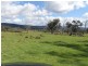 Lot 7 Strip Road, Little Swanport TAS 7190