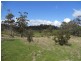 Lot 8 Strip Road, Little Swanport TAS 7190