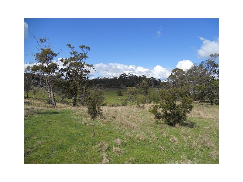 Lot 8 Strip Road, Little Swanport TAS 7190