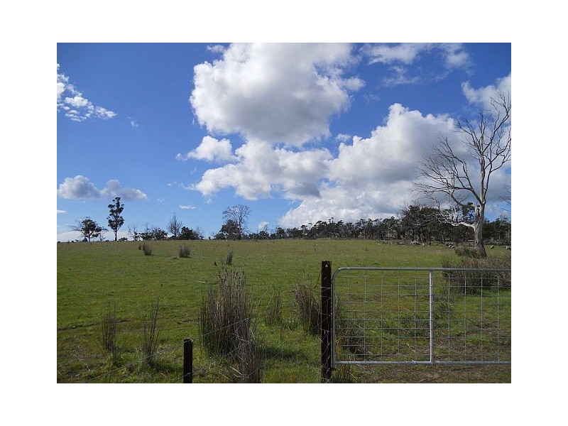 Lot 8 Strip Road, Little Swanport TAS 7190
