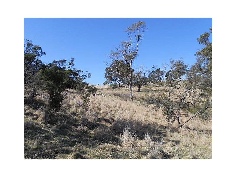 Lot 8 Strip Road, Little Swanport TAS 7190