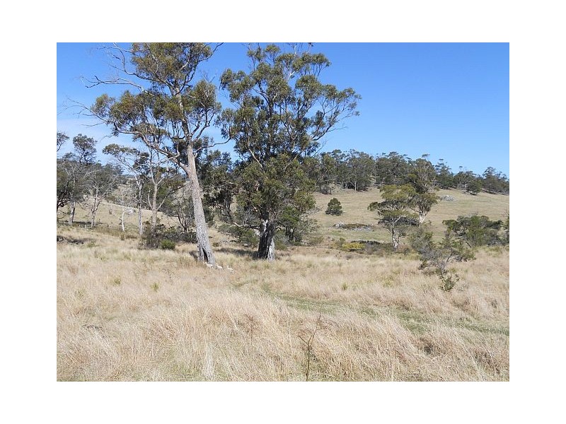 Lot 8 Strip Road, Little Swanport TAS 7190