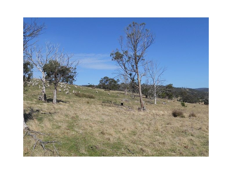 Lot 8 Strip Road, Little Swanport TAS 7190