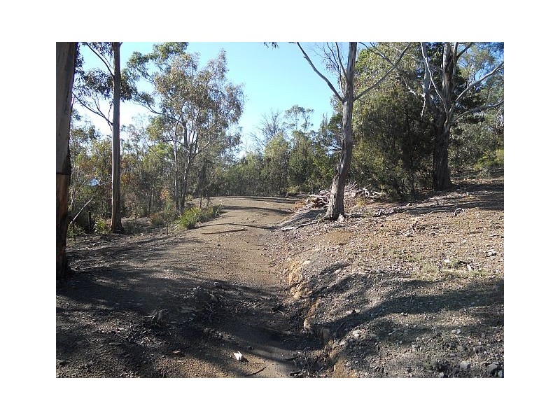 85 Barton Avenue, Triabunna TAS 7190