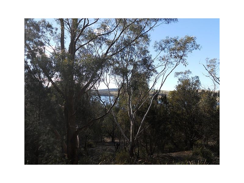 85 Barton Avenue, Triabunna TAS 7190