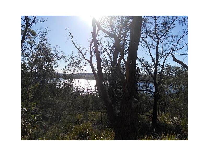 85 Barton Avenue, Triabunna TAS 7190