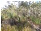 Lot 1 Weilangta Road, Orford TAS 7190