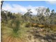 Lot 1 Weilangta Road, Orford TAS 7190