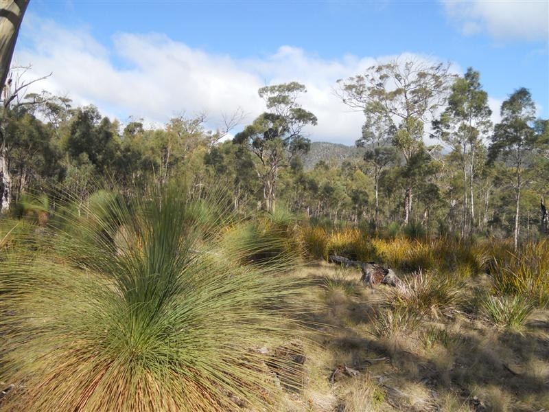 Lot 1 Weilangta Road, Orford TAS 7190