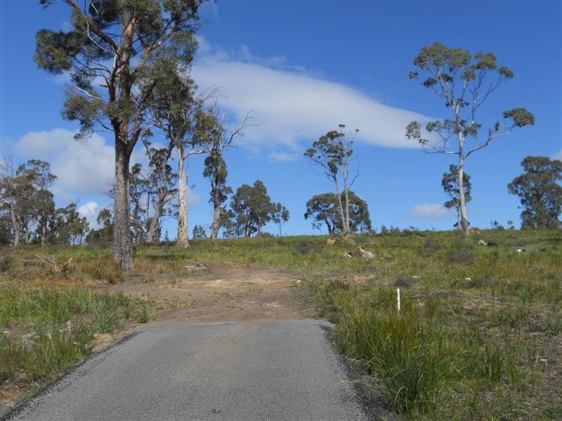Lot 2 Barton Avenue, Triabunna TAS 7190