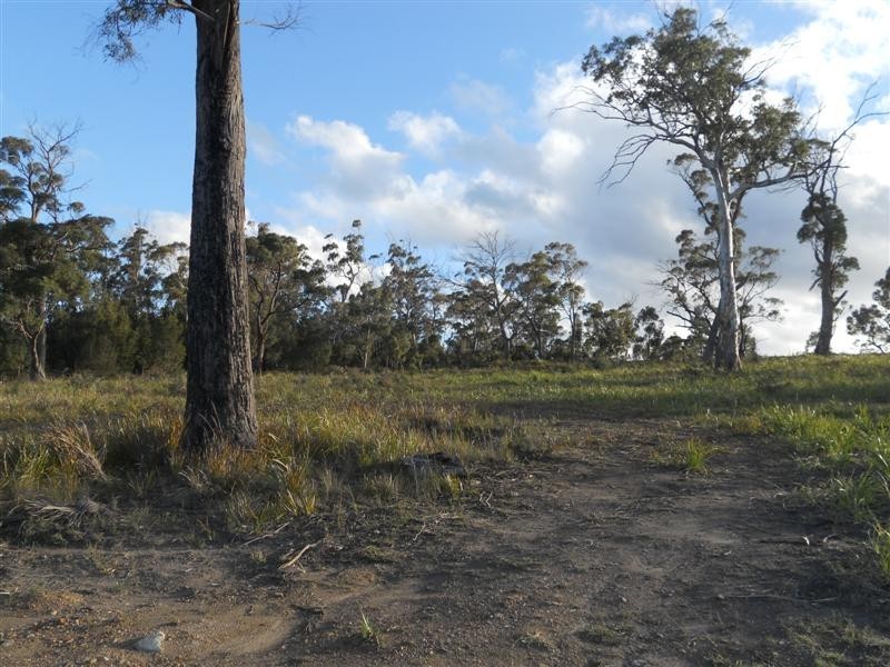 Lot 2 Barton Avenue, Triabunna TAS 7190