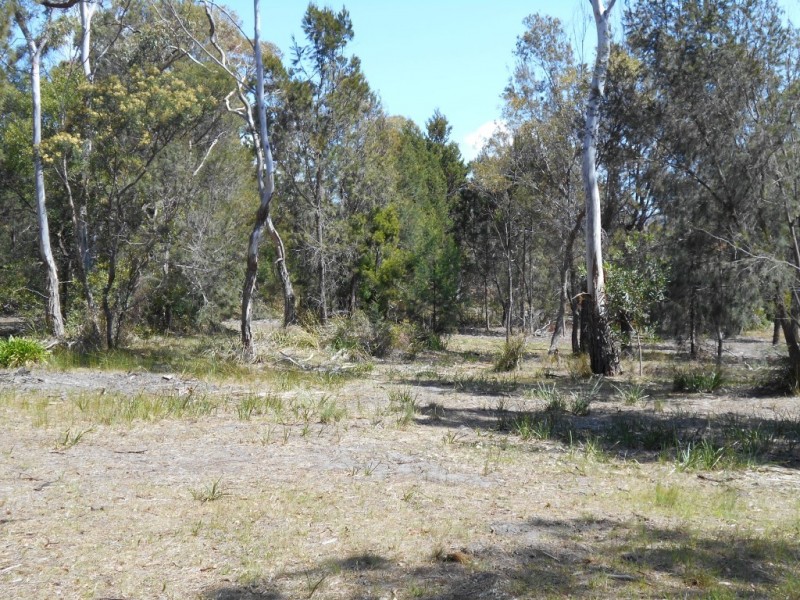 Lot 2 French Street, Orford TAS 7190