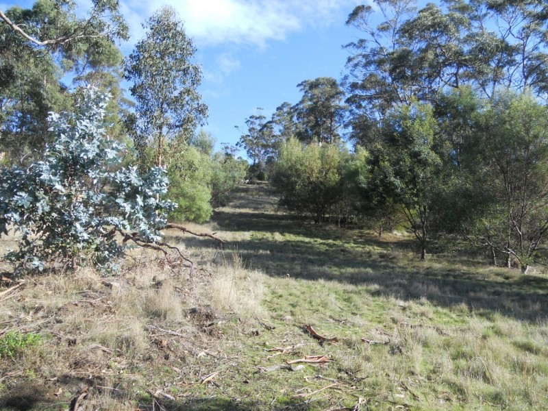 28A Charles Street, Orford TAS 7190