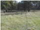 45 Alma Road, Orford TAS 7190