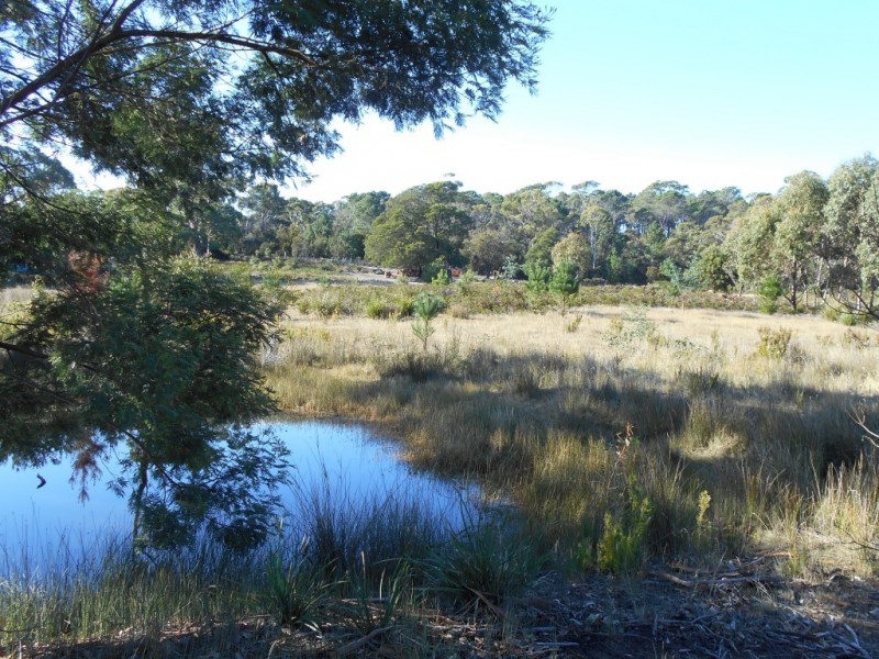 Lot 2 Okehampton Road, Triabunna TAS 7190