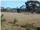 Lot 2 Okehampton Road, Triabunna TAS 7190