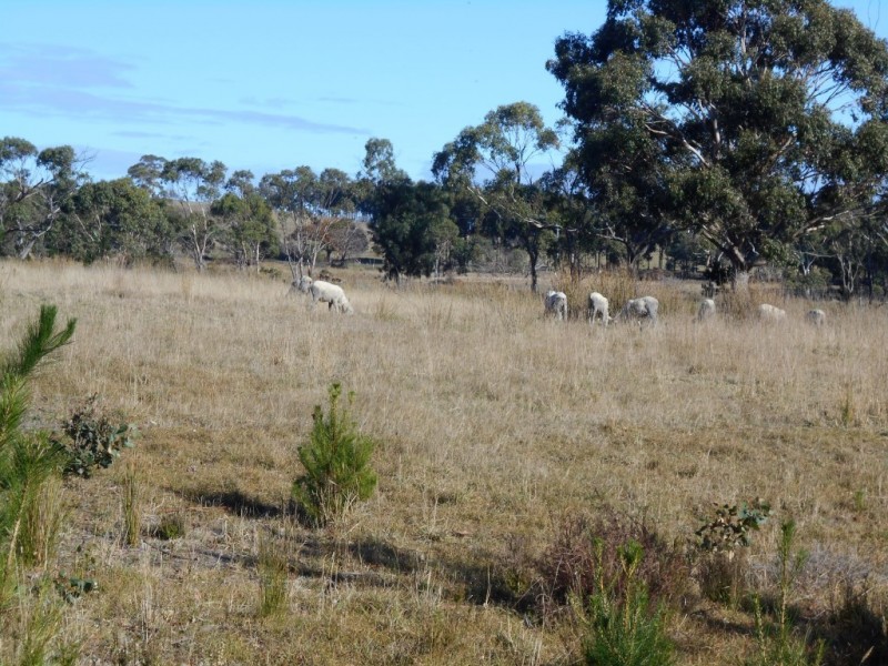 Lot 2 Okehampton Road, Triabunna TAS 7190