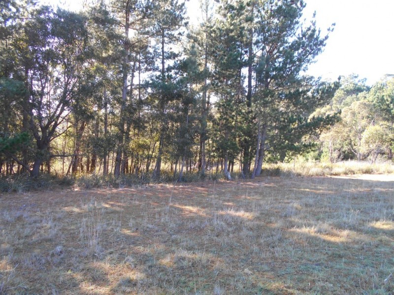 Lot 2 Okehampton Road, Triabunna TAS 7190