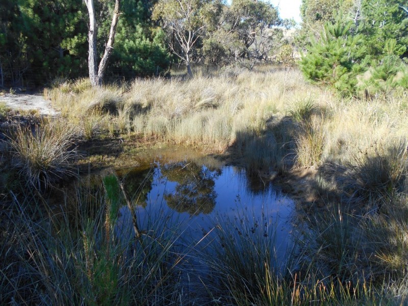 Lot 2 Okehampton Road, Triabunna TAS 7190