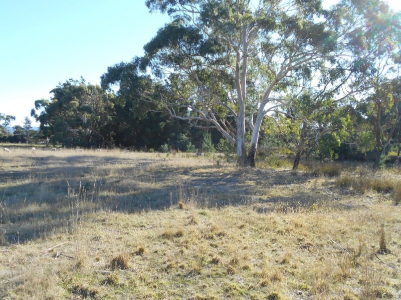 Lot 2 Okehampton Road, Triabunna TAS 7190