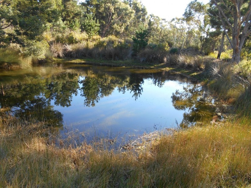 Lot 2 Okehampton Road, Triabunna TAS 7190