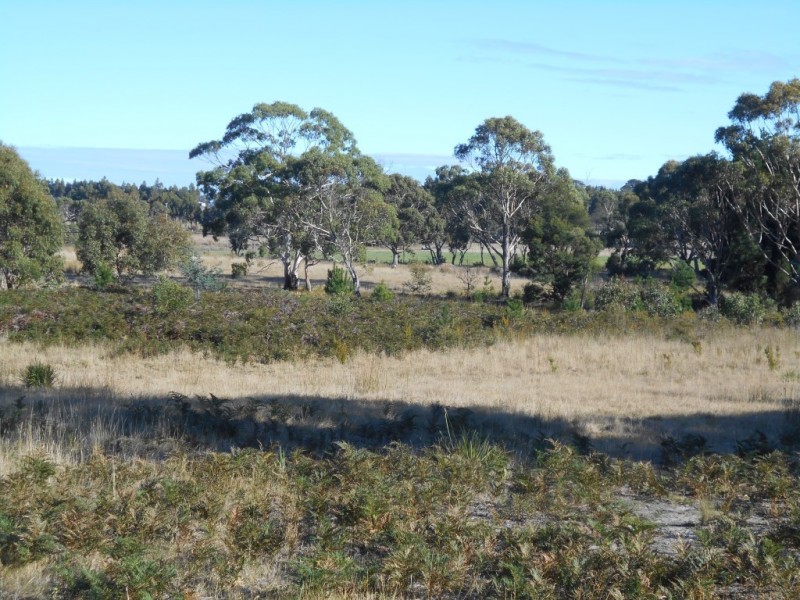 Lot 2 Okehampton Road, Triabunna TAS 7190