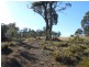 500 Bresnehans Road, Little Swanport TAS 7190