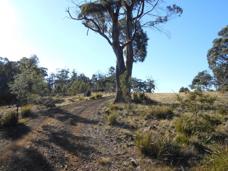 500 Bresnehans Road, Little Swanport TAS 7190