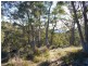 500 Bresnehans Road, Little Swanport TAS 7190