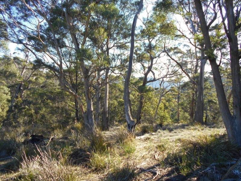 500 Bresnehans Road, Little Swanport TAS 7190