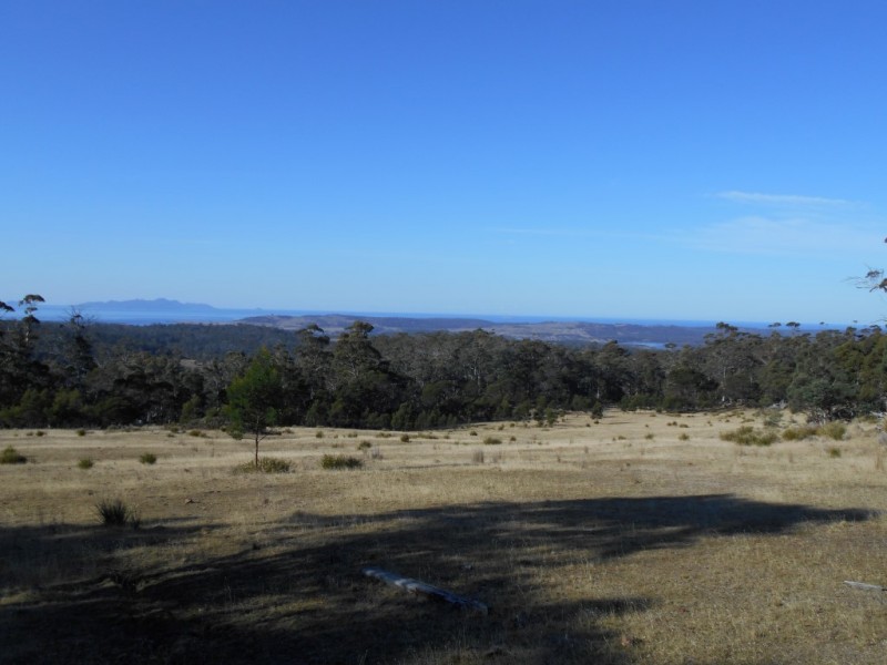 500 Bresnehans Road, Little Swanport TAS 7190