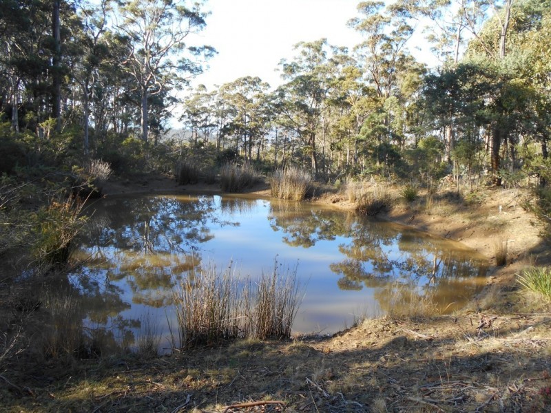500 Bresnehans Road, Little Swanport TAS 7190