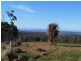 500 Bresnehans Road, Little Swanport TAS 7190