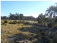 500 Bresnehans Road, Little Swanport TAS 7190