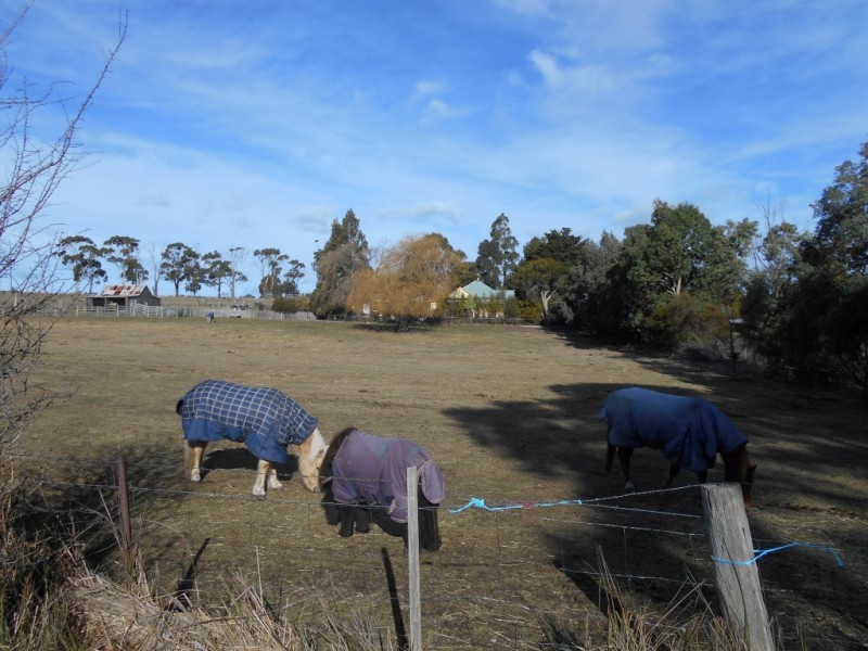 57 Inkerman Street, Triabunna TAS 7190