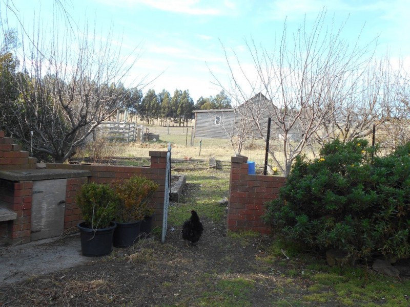 57 Inkerman Street, Triabunna TAS 7190