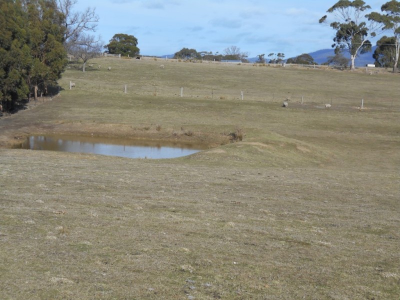 57 Inkerman Street, Triabunna TAS 7190